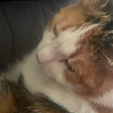 imagesbydesign avatar