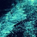 imaginariumrpc avatar