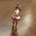 imaginarybusey avatar