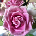 imaginationgonewild0912 avatar