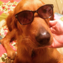 imaginationisgrowth avatar