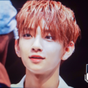 imagine-a-pocket-sized-jisoo avatar