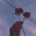 imagine-what-would-happen avatar