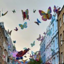 imaginearctix avatar