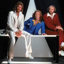 imaginebeegees avatar