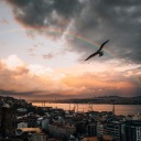 imaginebreathingin avatar