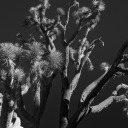 imaginedaesthetics avatar