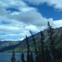 imaginedhaven avatar