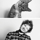 imaginedsagons4 avatar