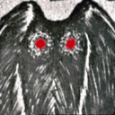 imaginemothman avatar