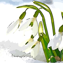 imaginetheimpossibilities11 avatar