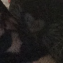 imagoshdangrebel-2-blog avatar