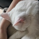 imahobbitiswear avatar