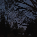 imalwaysworried avatar