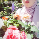 imanies-hafnus avatar