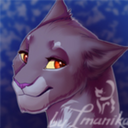 imanika-cat avatar