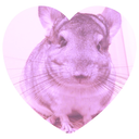 imaybelostbutimnotalostcaus-blog avatar