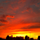 imayloseitforasecondnowandthen avatar