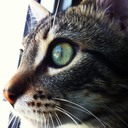 imbadatposting avatar