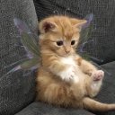 imcoolbutsoareyou avatar