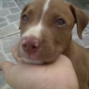 imeaninsecure avatar