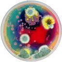 imeatingyourfloorboards avatar