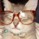 imfalltopieces avatar