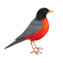 imfineipromiseitstrue avatar