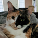 imfineitsfineeverythingsfine avatar