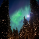 imfreefallin9 avatar