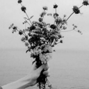 imgoingtosnap avatar