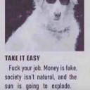 imhairyandiknowit avatar