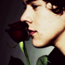 imharrystyleslover avatar