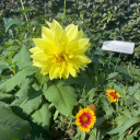 imhere-for-me avatar