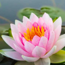 imhereandexist avatar