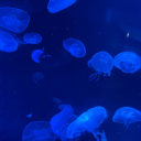 imhereforyoursoul avatar