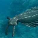 imheretoreadandpostart avatar