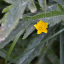 imhiskindofcrazy avatar