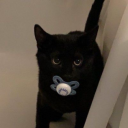 imhislittleboy avatar