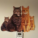 imho-itmatters avatar