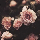 imieiocchisulmondo avatar