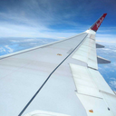 imightvekilledyou avatar