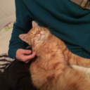 iminlovewithanaddictt avatar