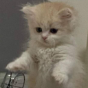 iminlovewithyourforehead-blog avatar