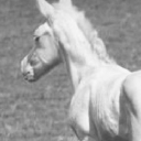 imissudeerly333 avatar