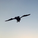 imitationgame77 avatar