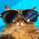 imjustjoshing avatar