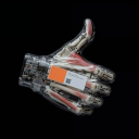 immaculate-deceptions avatar