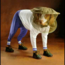 immaculatecontraceptions avatar