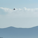 immerfrauentimmer avatar